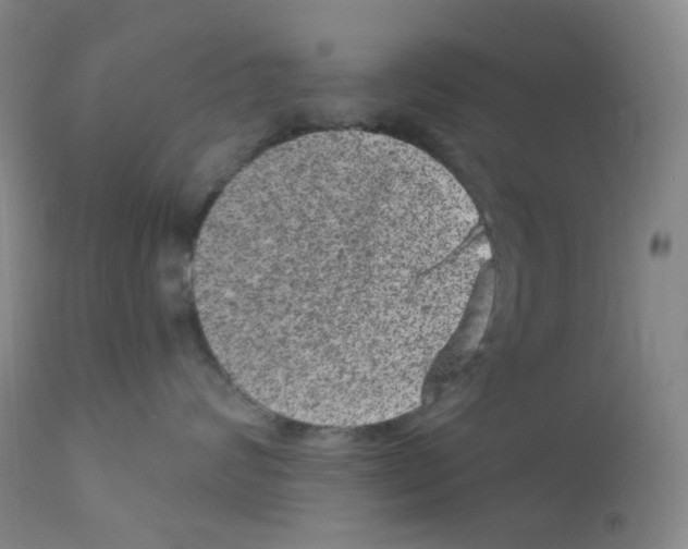 X0000111870624200909031817