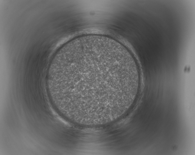 X0000111870625200909031816