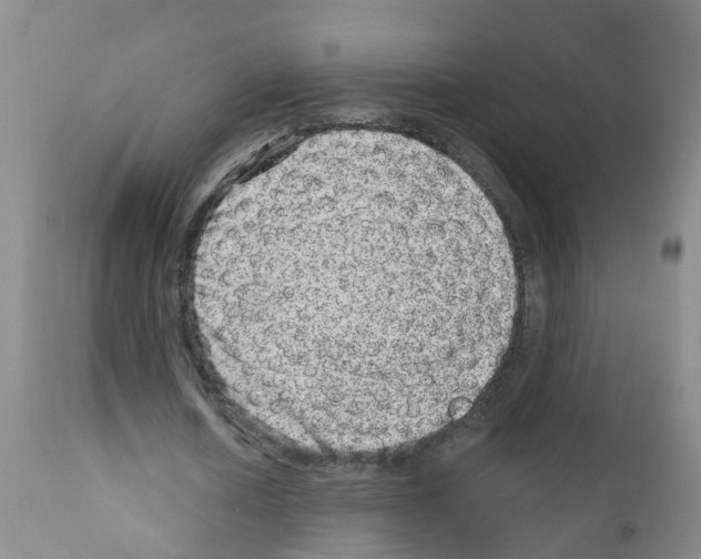 X0000111870626200909031816