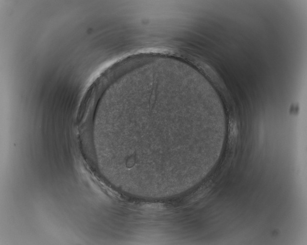 X0000111870628200909031816