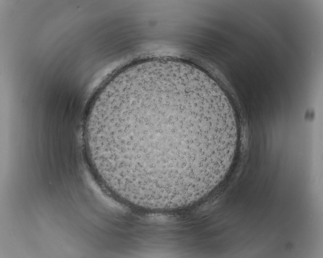 X0000111870629200909031816