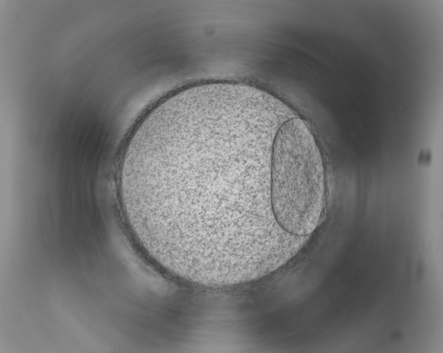 X0000111870632200909031816