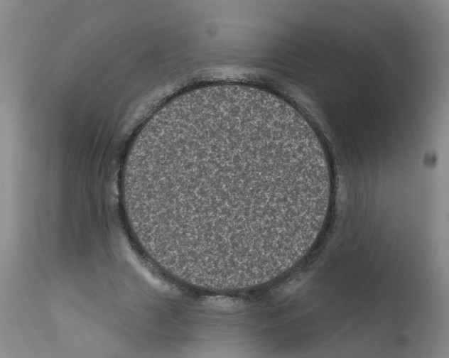 X0000111870633200909031816