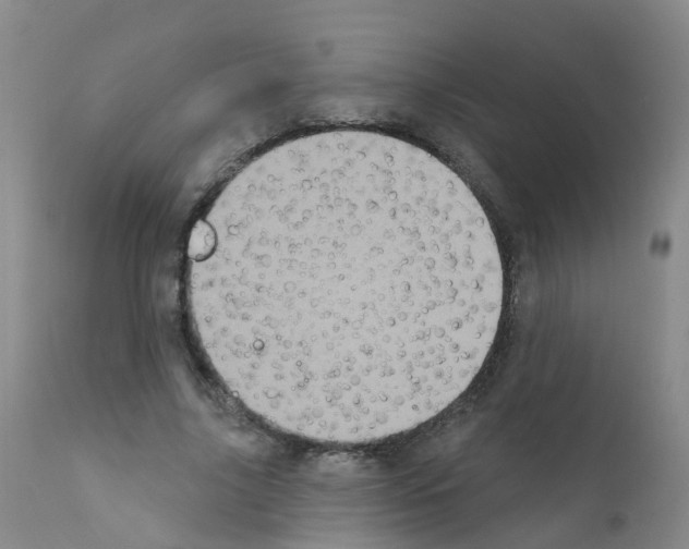 X0000111870635200909031816