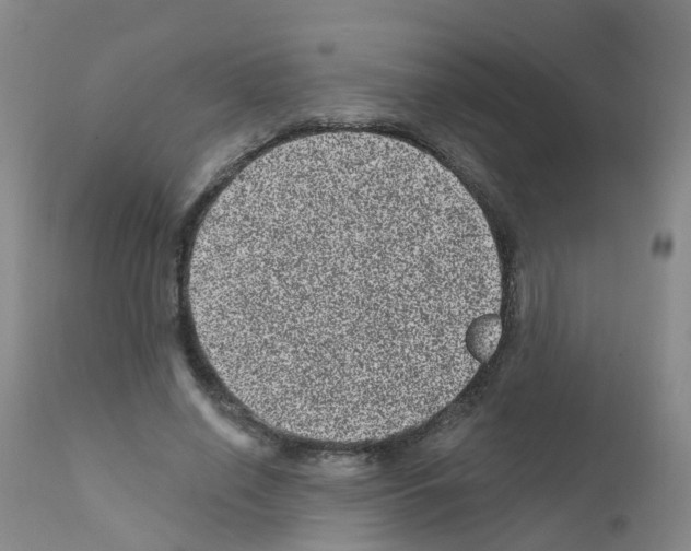 X0000111870638200909031817