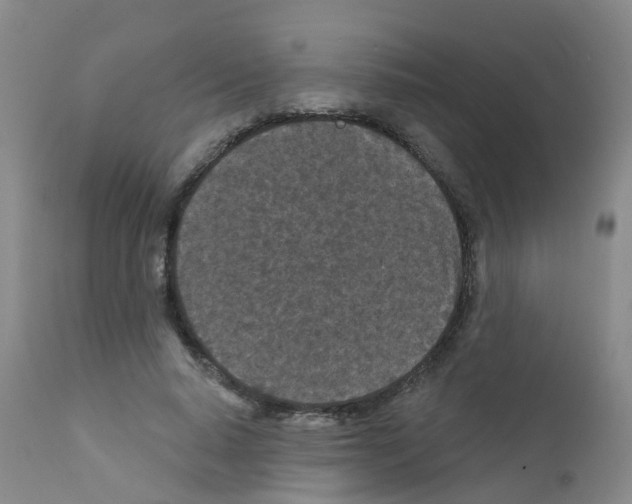 X0000111870640200909031817