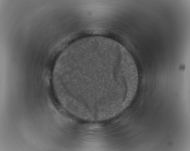 X0000111870643200909031817