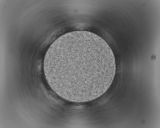 X0000111870646200909031817