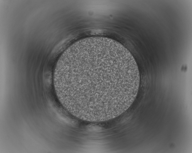 X0000111870648200909031817