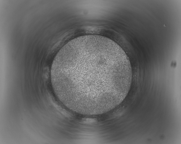 X0000111870649200909031817