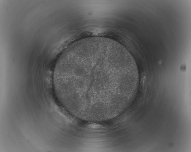 X0000111870650200909031817