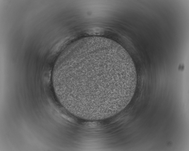 X0000111870652200909031817