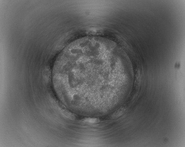 X0000111870659200909031817