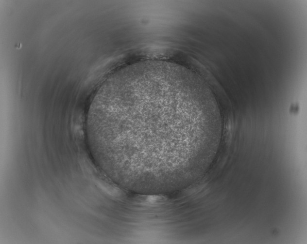 X0000111870663200909031817