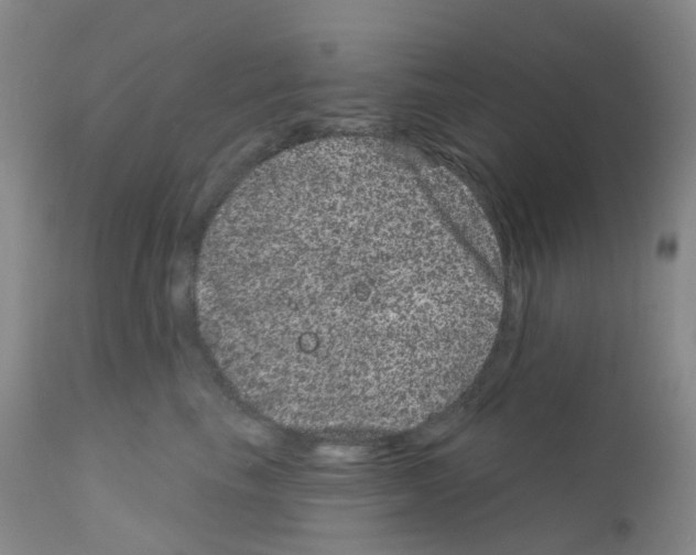 X0000111870665200909031817