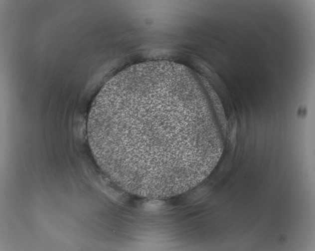 X0000111870669200909031817