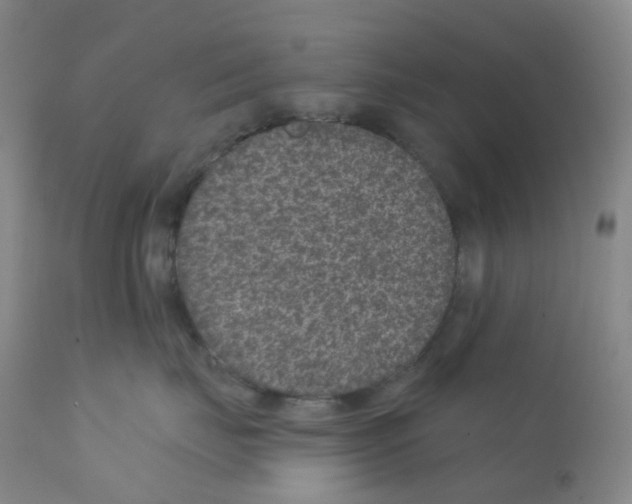 X0000111870671200909031817