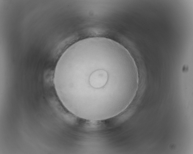 X0000111870672200909031817