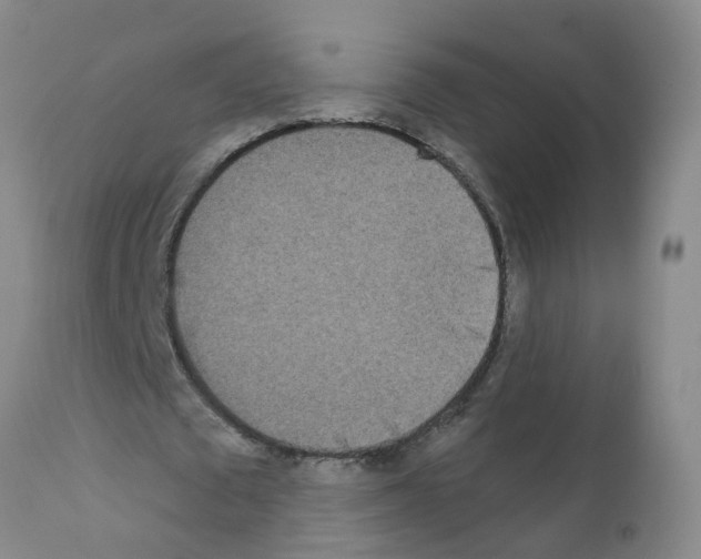 X0000111870673200909031816