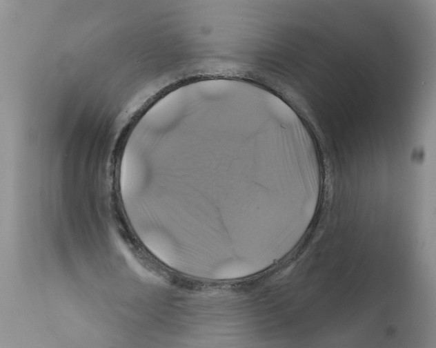 X0000111870674200909031816