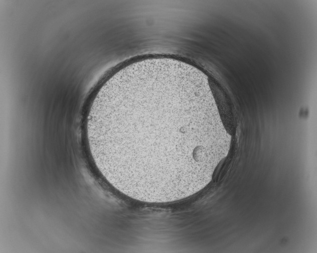 X0000111870676200909031816