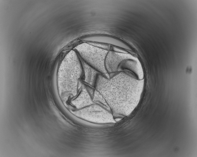 X0000111870677200909031816