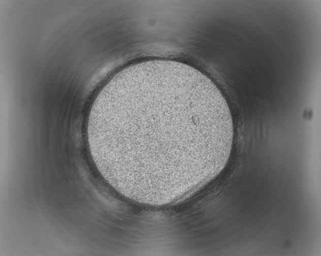 X0000111870679200909031816