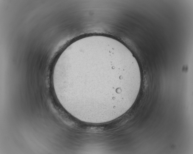 X0000111870680200909031816