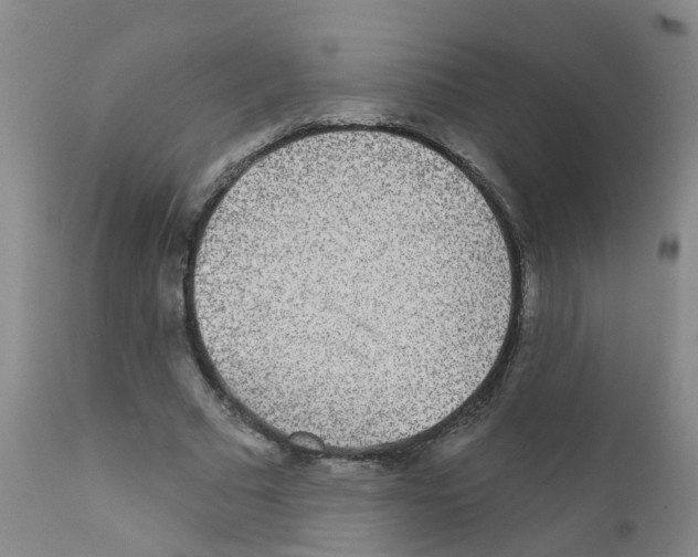 X0000111870681200909031816