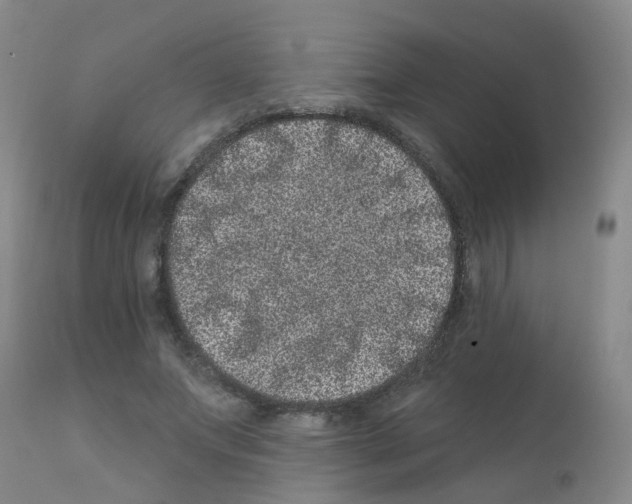 X0000111870687200909031816