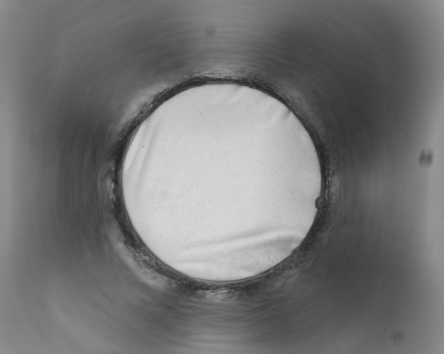 X0000111870688200909031816