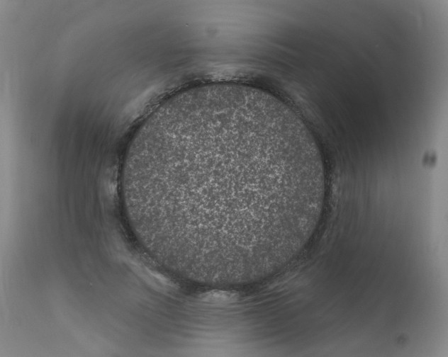 X0000111870691200909031816