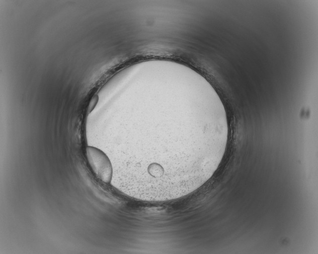 X0000111870692200909031816