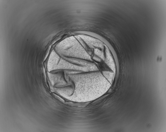 X0000111870693200909031816