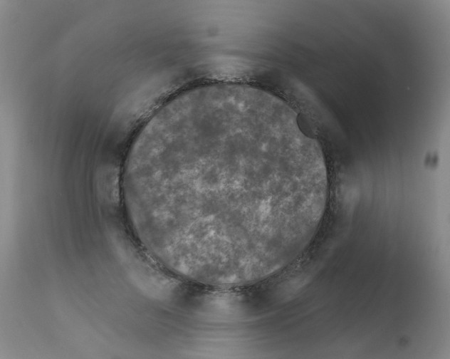 X0000111870696200909031816