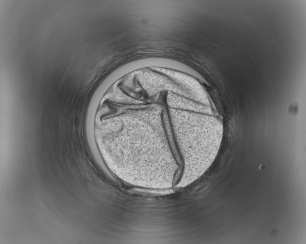 X0000111870697200909031816