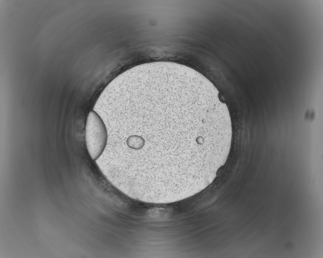 X0000111870700200909031816