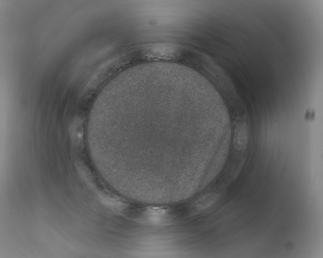 X0000111870701200909031816