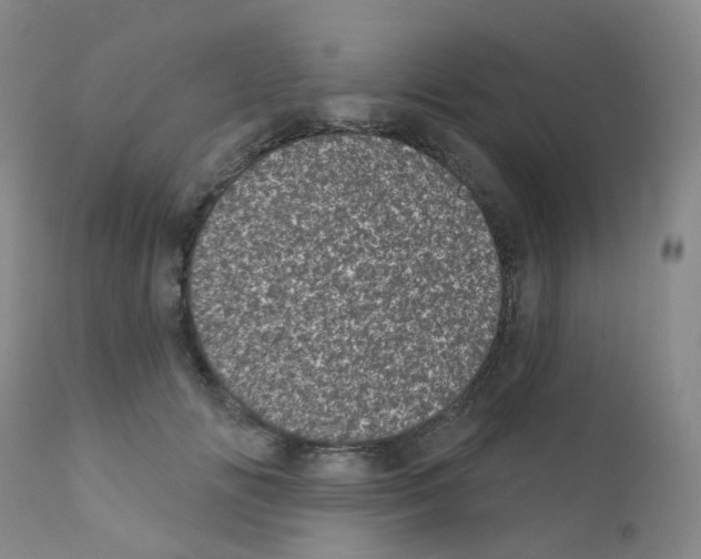 X0000111870702200909031816