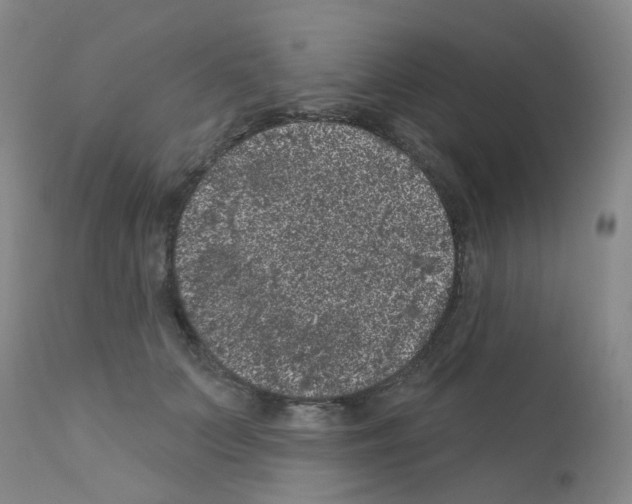 X0000111870703200909031816