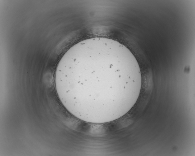 X0000111870705200909031816