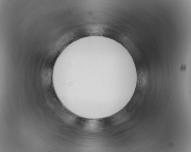 X0000111870717200909031816