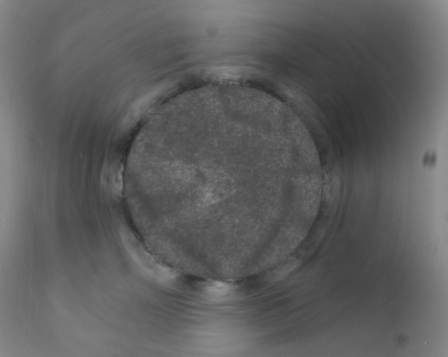 X0000111870718200909031816