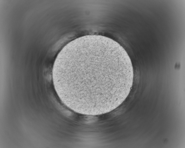 X0000111870719200909031816