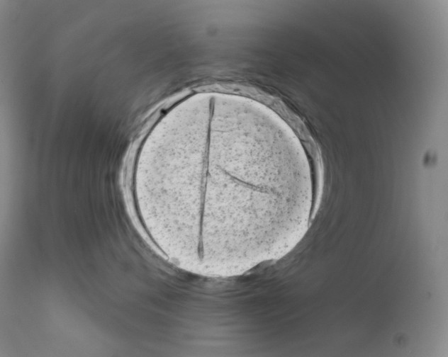 X0000111870720200909031816