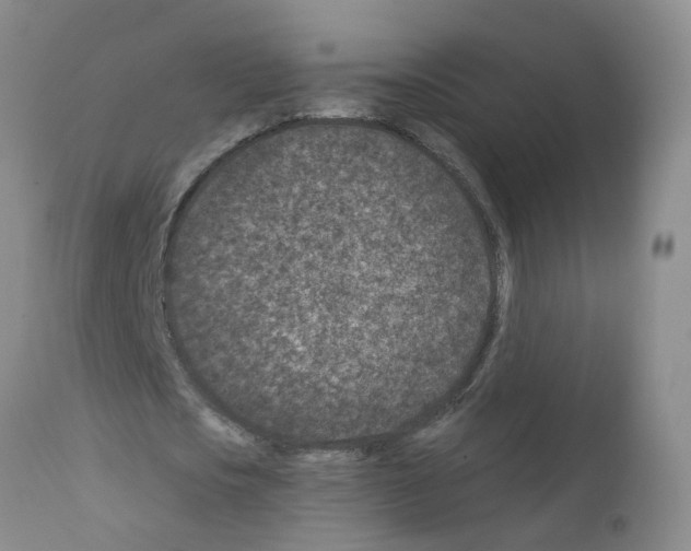 X0000111870721200909031815