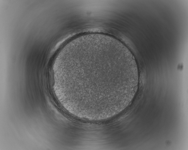 X0000111870722200909031815