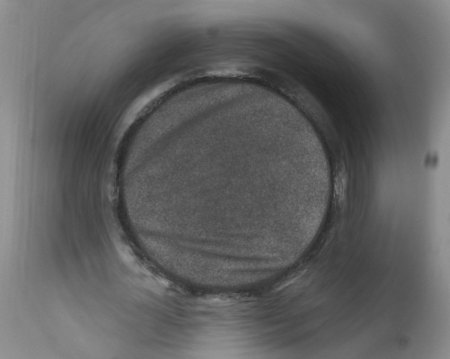 X0000111870724200909031815