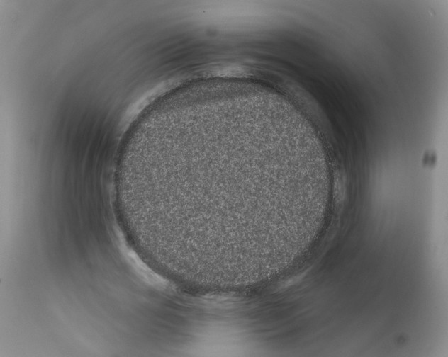 X0000111870725200909031815