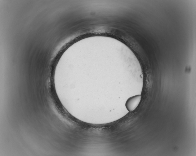 X0000111870728200909031815